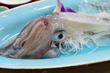 透き通った呼子のイカ 刺身の後のゲソ天も美味